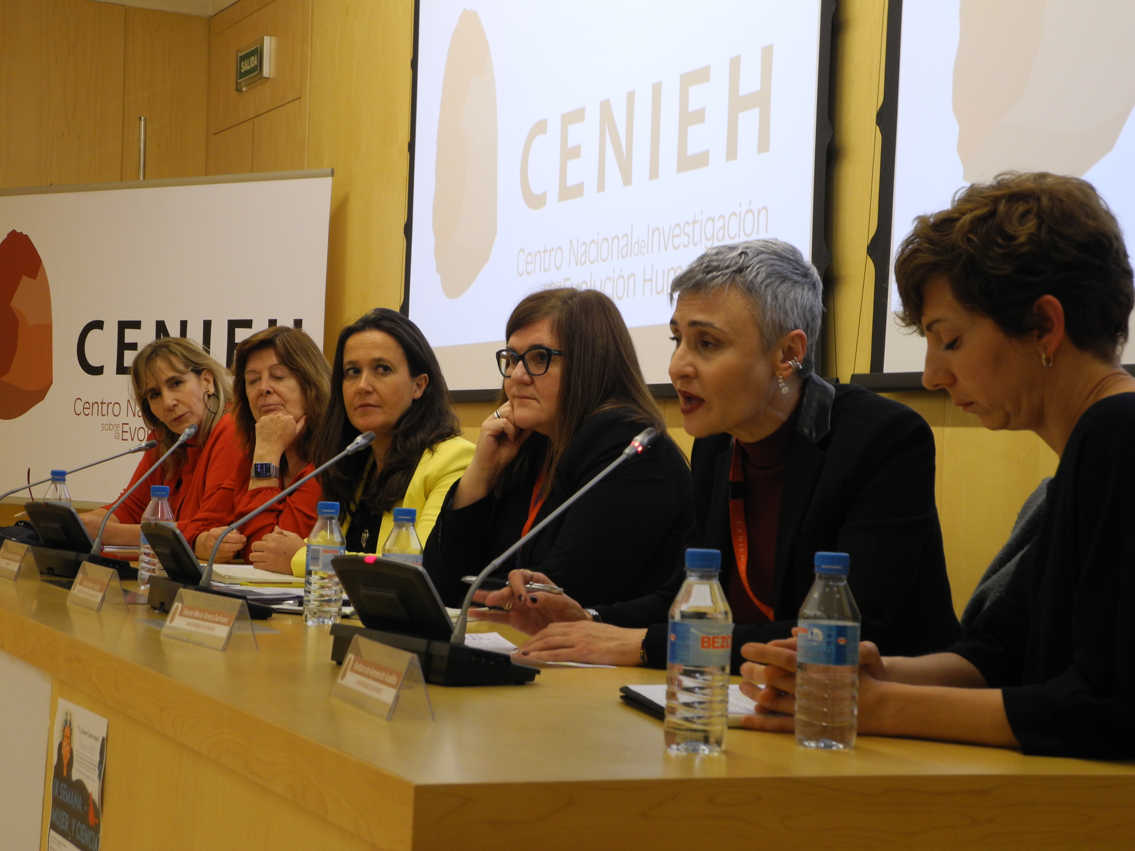 Mesa Redonda