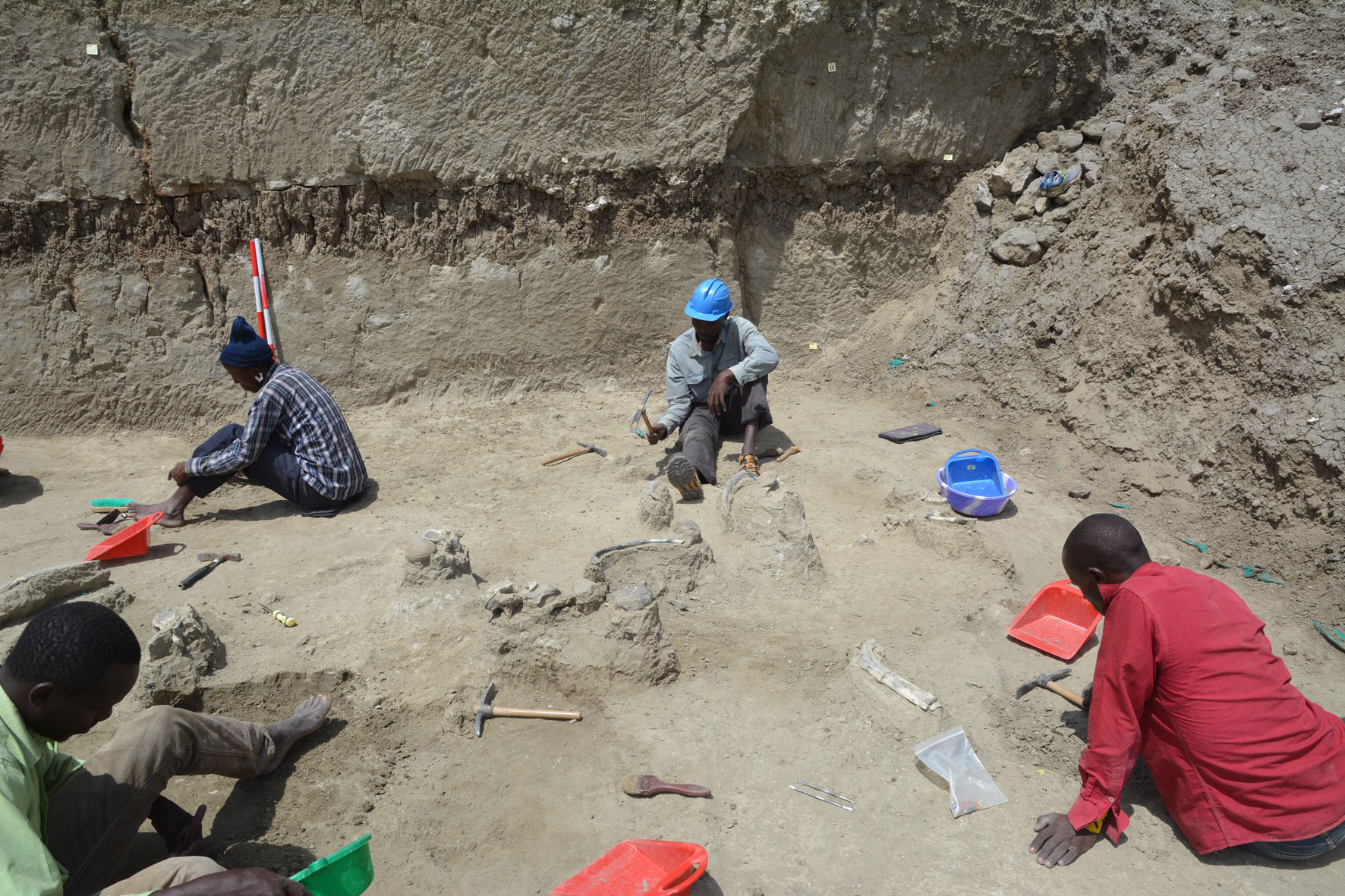 Campaña 2019 en FLKW (Olduvai)