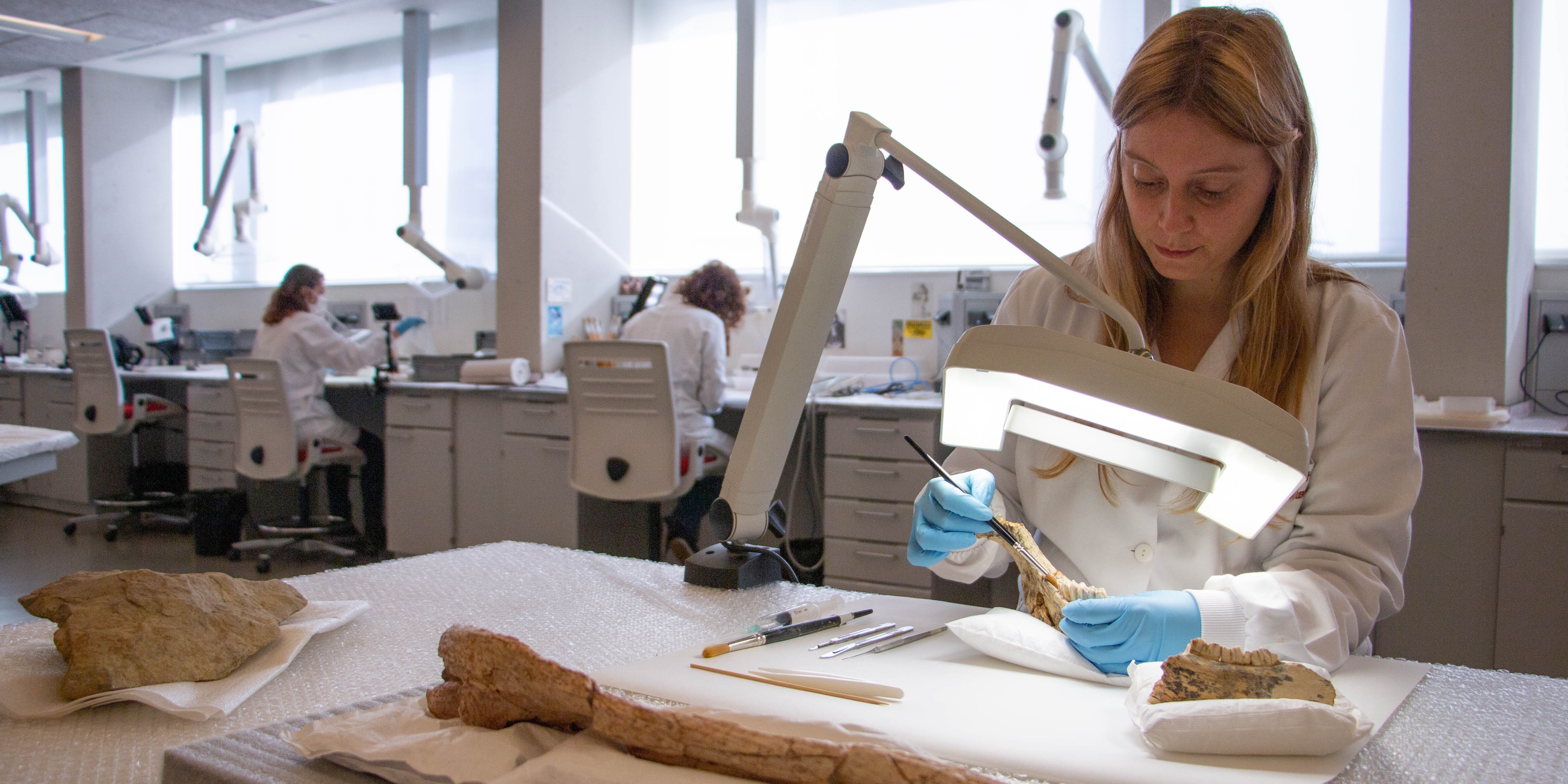 Personal del Laboratorio de Conservación y Restauración