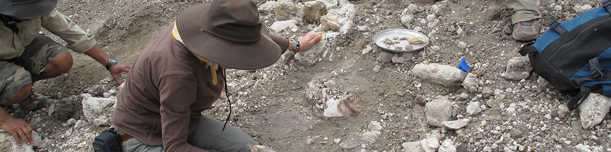 Paleobiología de vertebrados