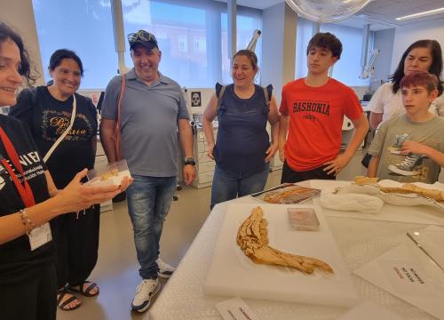 Laboratorio de Conservación y Restauración/UCC+I CENIEH