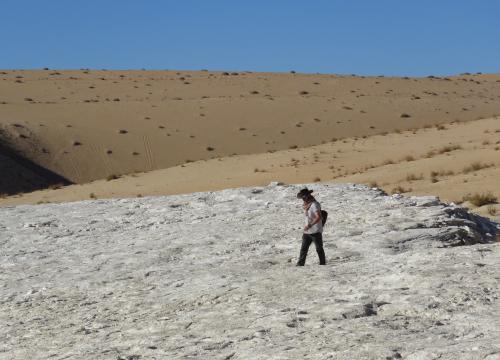 Investigador buscando huellas en los depósitos del paleolago/Palaeodeserts Project