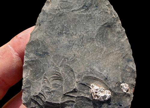 Gran punta del Paleolítico Medio cuidadosamente elaborada en obsidiana, una materia prima importada a Halibee hace 100.000 años. Las manchas blancas corresponden a raíces vegetales fosilizadas adheridas a la herramienta lítica. | Foto © T. White y cortesía del proyecto de investigación Middle Awash.