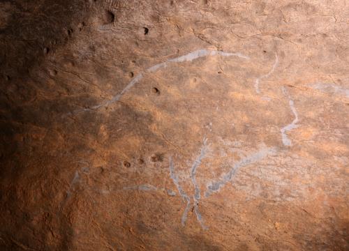 Bisonte grabado sobre pared caliza