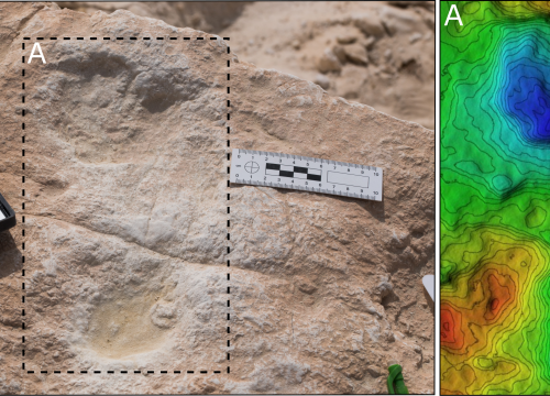 Primera huella humana descubierta en Alathar y su modelo de digital de elevación/Stewart et al., 2020