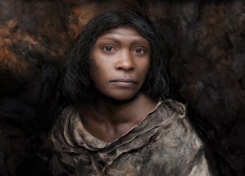 Primera representación de la Chica de la Gran Dolina, Individuo H3/Tom Björklund