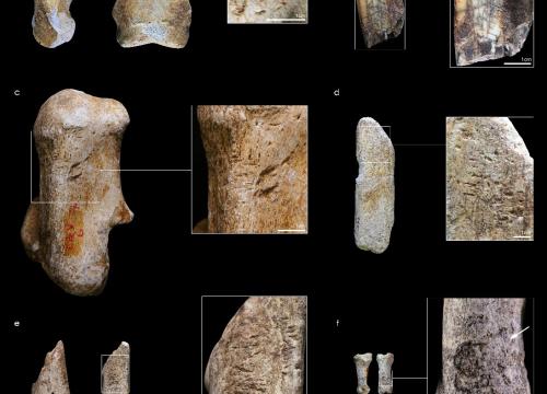 Herramientas sobre hueso y diente fabricadas por neandertales identificadas en el yacimiento francés. 