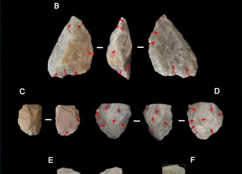 Stone tools from Engaji Nanyori/Mercader et al