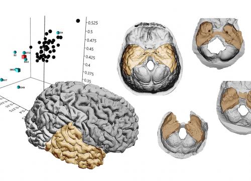 Pearson et al