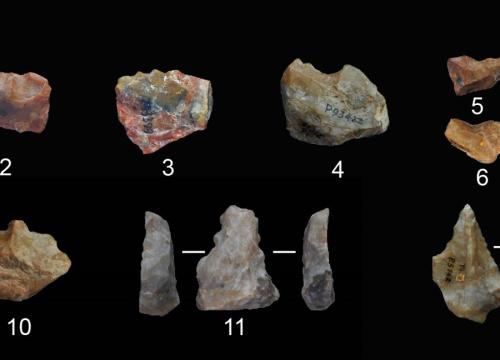 The tools dated to 1.1-1.0 Ma in Nihewan Basin/Shi-Xia Yang et al