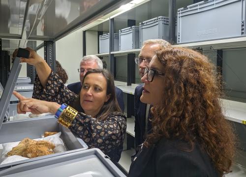 Cámara acorazada/UCC+I(CENIEH)