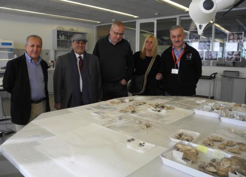 Visita Neom