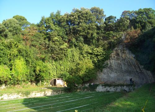 Los moluscos eran parte de la dieta de los neandertales de la costa cántabra