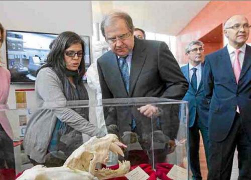 El presidente de Castilla y León visita el stand del CENIEH en ARPA