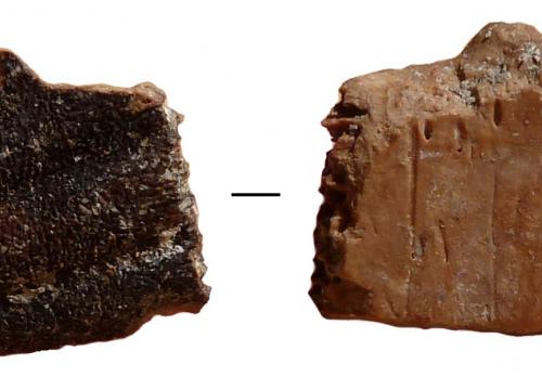 Turtles were complementary food for humans 400,000 years ago