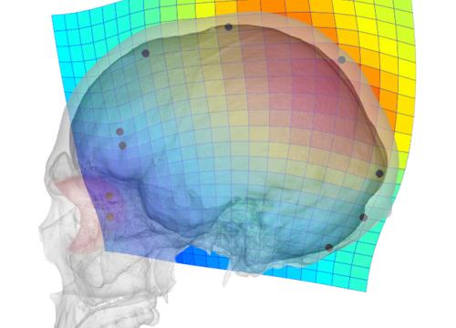 Functional Craniology and Brain Evolution: from Paleontology to Biomedicine