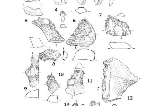 Ancient Paleolithic industries evolved independently in Europe&quot;