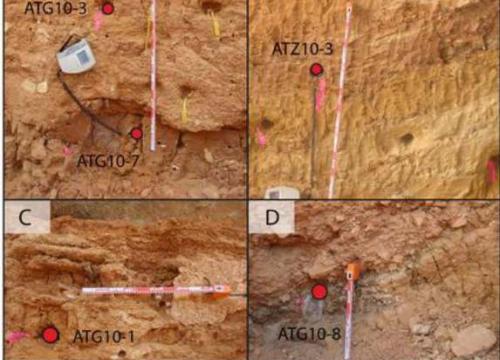 New datings change the chronology of the Galería Complex in Atapuerca