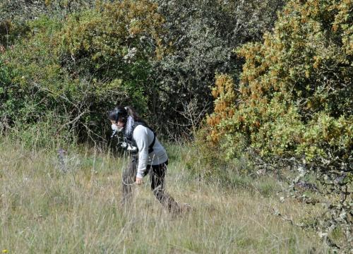 Paleodieta: algo más que carne y grasa