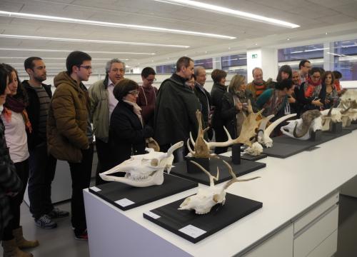 Más de 350 personas han visitado el CENIEH durante la Noche Blanca