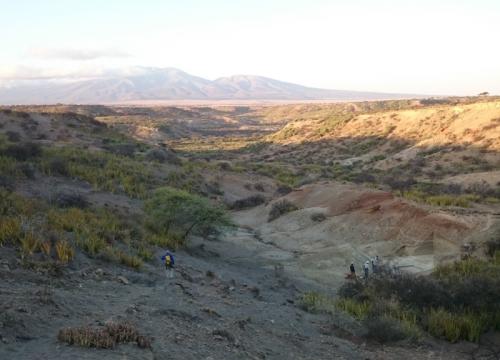 Siete años en Tanzania