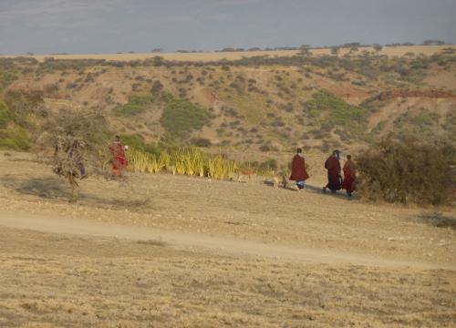 El CENIEH vuelve a Tanzania