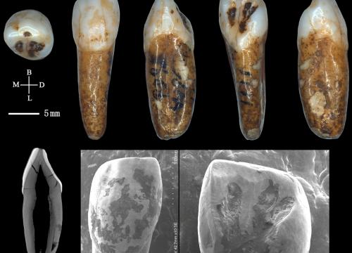 Spain and China collaborate in the study of the most important Pleistocene sites in Asia