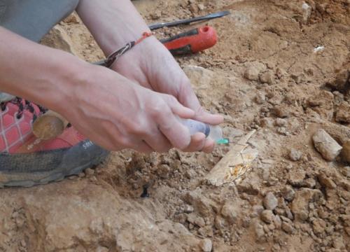 EL CENIEH en Atapuerca 2013