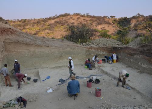 El CENIEH trabaja en Tanzania con un proyecto internacional financiado por el Gobierno de Canadá