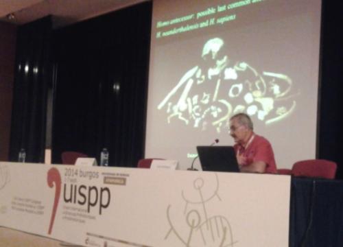 Gran protagonismo del CENIEH en el Congreso Mundial de UISPP 2014