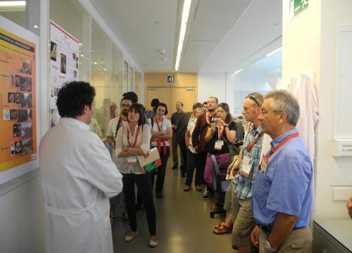 Gran protagonismo del CENIEH en el Congreso Mundial de UISPP 2014