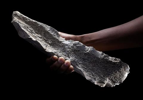 Bone tool made on humerus of a 1.5-million-year-old elephant. Credit: Laboratorio de Arqueología del Pleistoceno-CSIC