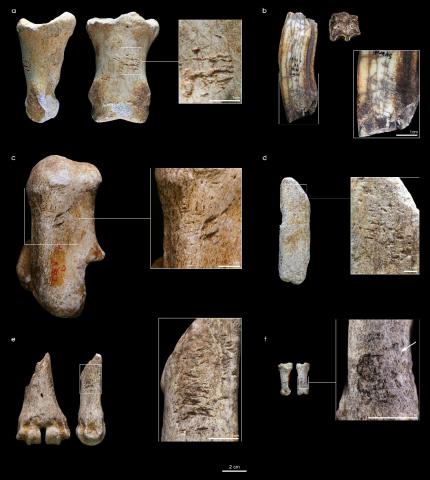 Herramientas sobre hueso y diente fabricadas por neandertales identificadas en el yacimiento francés. 