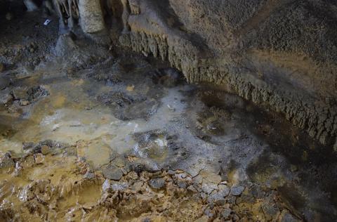 Detalle de las huellas de oso de la Cueva Honseca/J. Rodríguez et al