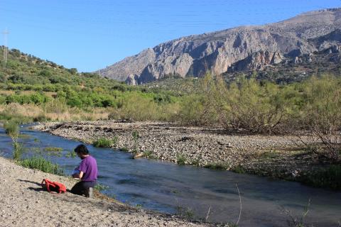 One of the sampling points in the Guadalhorce riverbed //Lucía Bermejo Albarrán