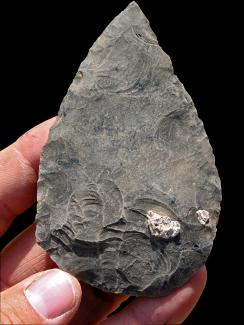 Gran punta del Paleolítico Medio cuidadosamente elaborada en obsidiana, una materia prima importada a Halibee hace 100.000 años. Las manchas blancas corresponden a raíces vegetales fosilizadas adheridas a la herramienta lítica. | Foto © T. White y cortesía del proyecto de investigación Middle Awash.