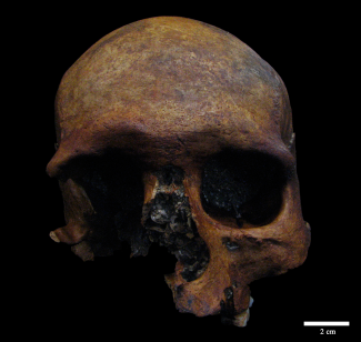 Skull from the Marcenejas cave before its restoration/Pilar Fernández Colón 