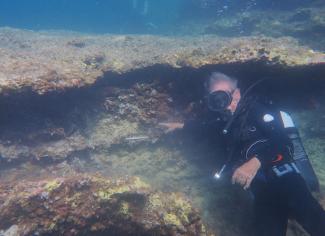 Diver pointing at potential Pleistocene sediments on the seabed/Ilaria Patania