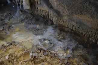 Detalle de las huellas de oso de la Cueva Honseca/J. Rodríguez et al