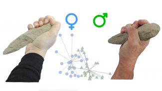 Diferencias entre hombre y mujeres/A. Fedato
