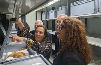 Cámara acorazada/UCC+I(CENIEH)