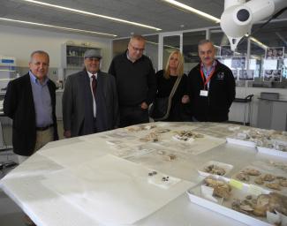 Visita Neom Visita Neom