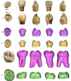 The mysterious Xujiayao hominin