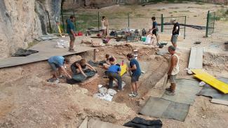 Hace 50.000 años los pinos de montaña llegaban hasta la costa al nordeste de la península ibérica