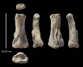 One of Asia’s oldest modern human fossils found in Saudi Arabia