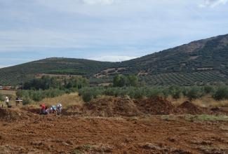 Finalizada la II Campaña de excavación de El Sotillo en Ciudad Real