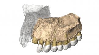 Los primeros `Homo sapiens’ fuera de África