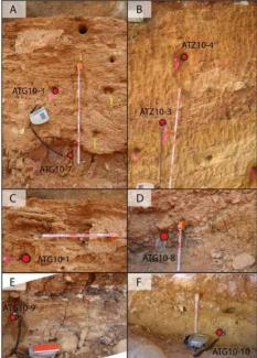 New datings change the chronology of the Galería Complex in Atapuerca