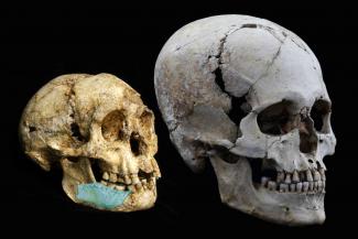  El CENIEH participa en la datación de los ancestros de Homo floresiensis