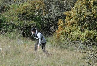 Paleodieta: algo más que carne y grasa